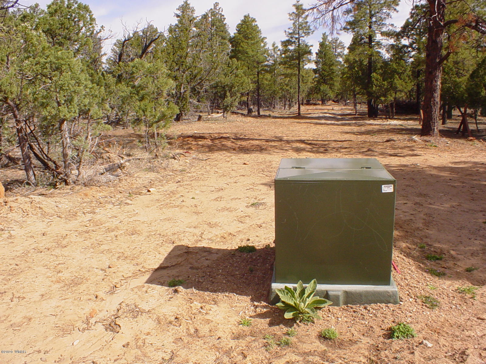 Tbd Tbd Mcmurray's Way Overgaard, AZ 85933 - Photo 6 of 8