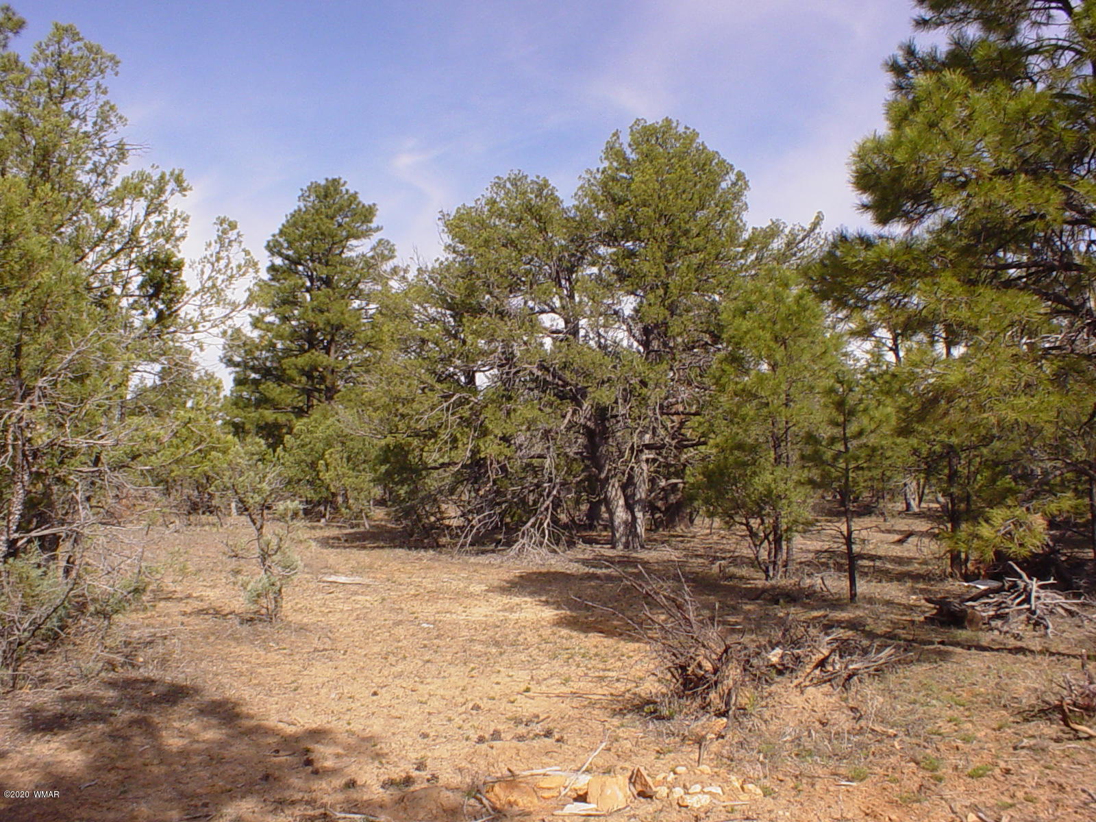 Tbd Tbd Mcmurray's Way Overgaard, AZ 85933 - Photo 7 of 8