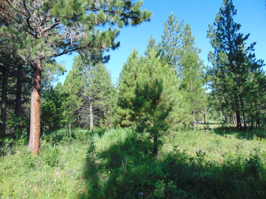 4615 Abe Lincoln Road Lincoln, MT 59639 - Photo 70 of 92 Gallery Image 70