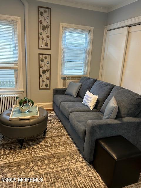 84 Mt Zion Way, Unit 1 Ocean Grove, NJ 07756 - Photo 3 of 16 a living room with a couch and a window
