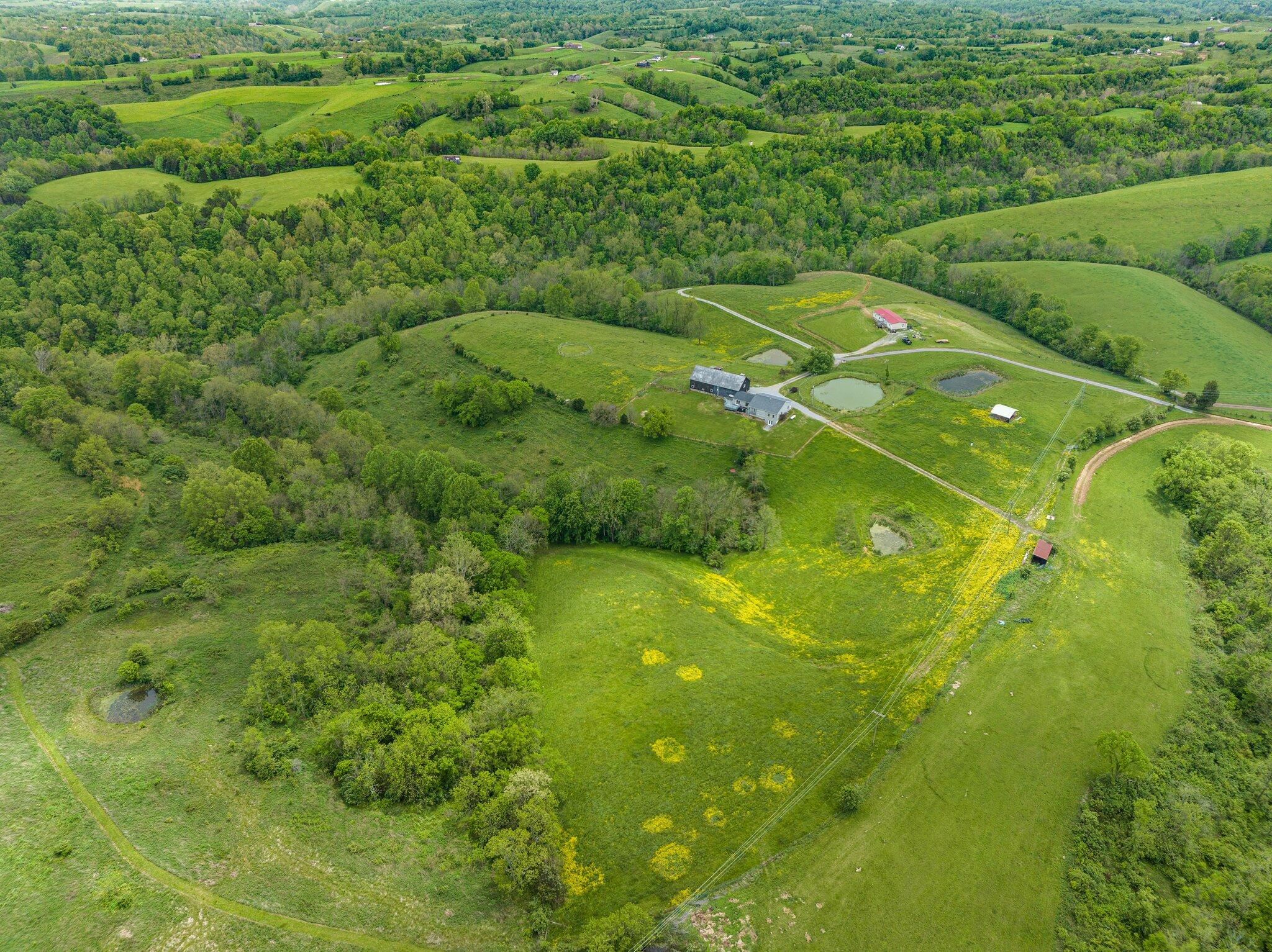 369 Baldwin Road Richmond, KY 40475 - Photo 46 of 60 48-web-or-mls-DJI_0938
