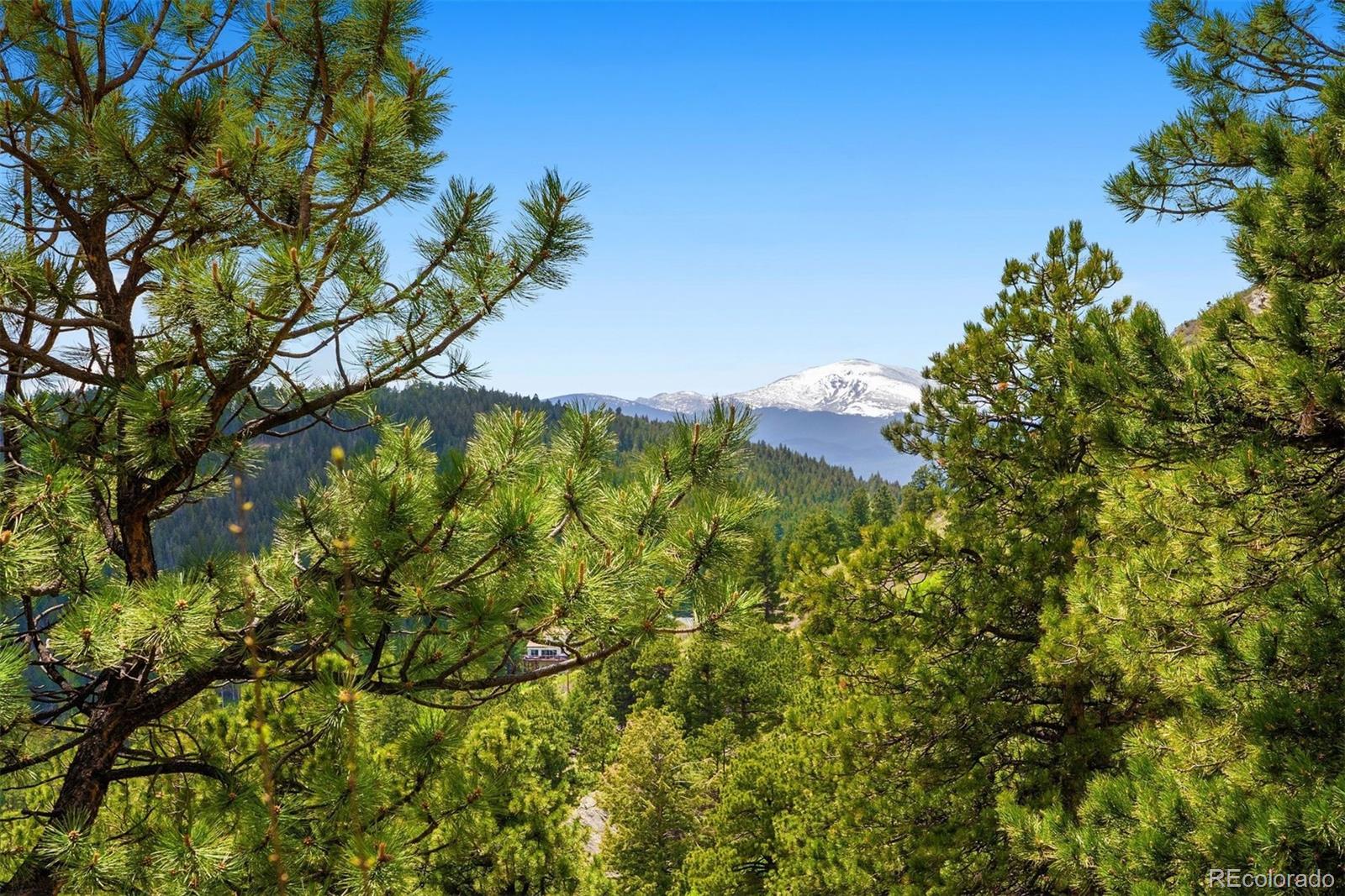 33095 Bergen Mountain Road Evergreen, CO 80439 - Photo 17 of 48