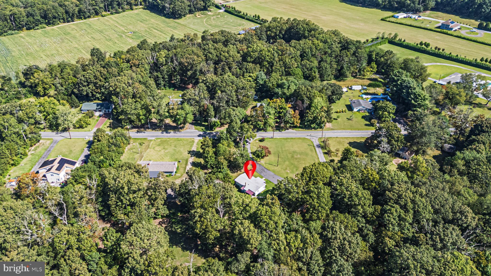311 Woodruff Carmel Road Bridgeton, NJ 08302 - Photo 36 of 40 a view of a yard with plants and large trees