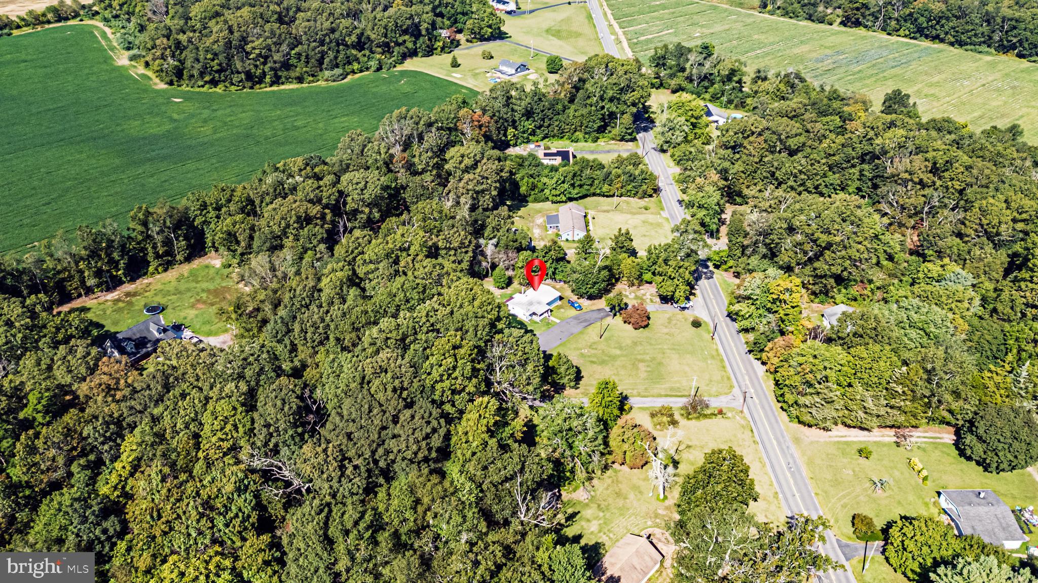 311 Woodruff Carmel Road Bridgeton, NJ 08302 - Photo 37 of 40 a view of a garden with plants