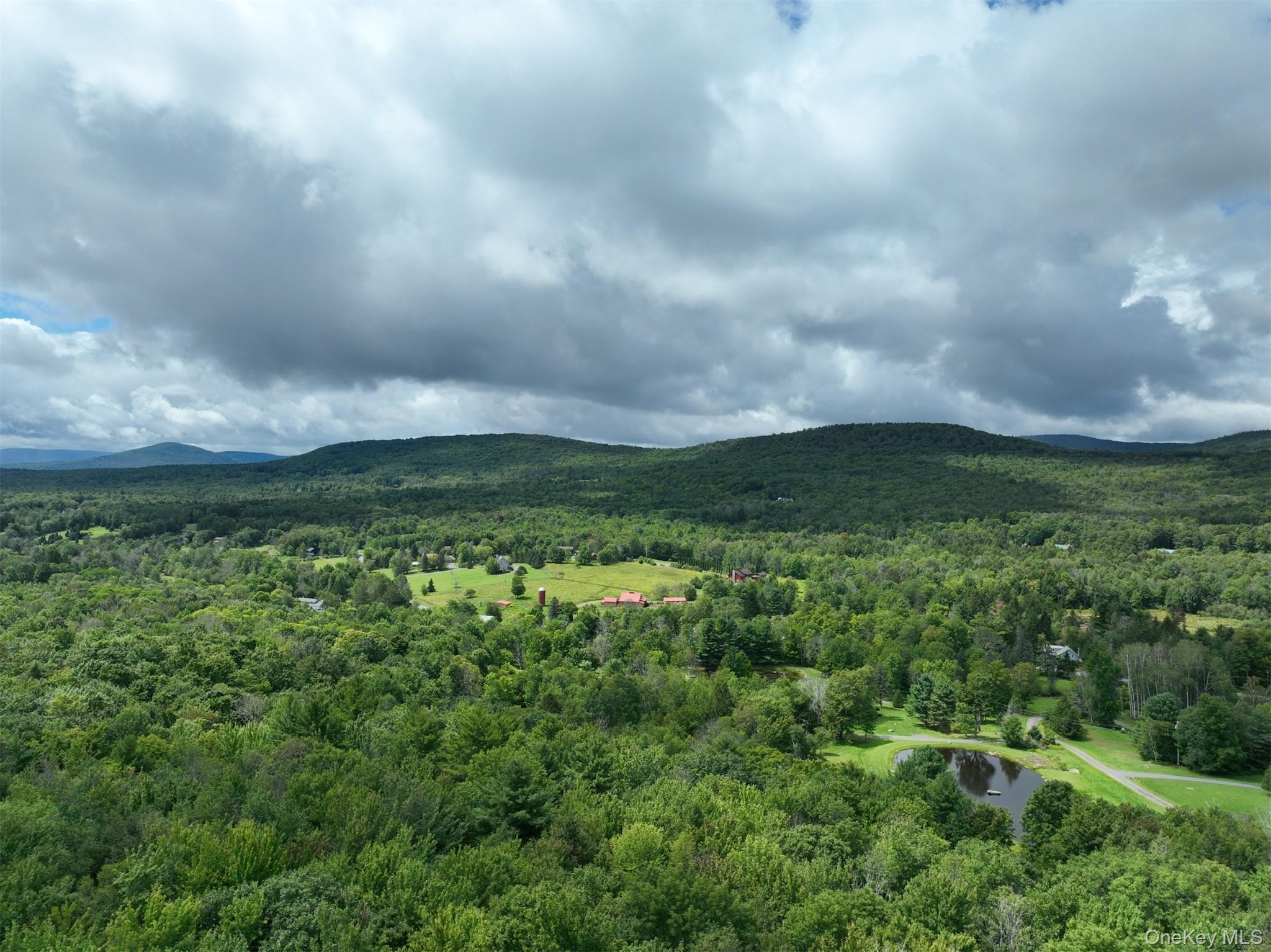 Tbd Boulder Brook Road Windham, NY 12496 - Photo 46 of 46 Gallery Image 46