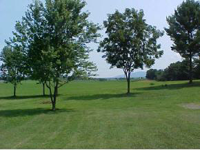 148 Baynes Road Waynesboro, VA 22980 - Photo 3 of 4 a view of green field with trees