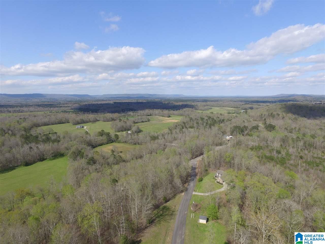 414 Stone Ridge, Unit 5 AND 6 Springville, AL 35146 - Photo 10 of 20