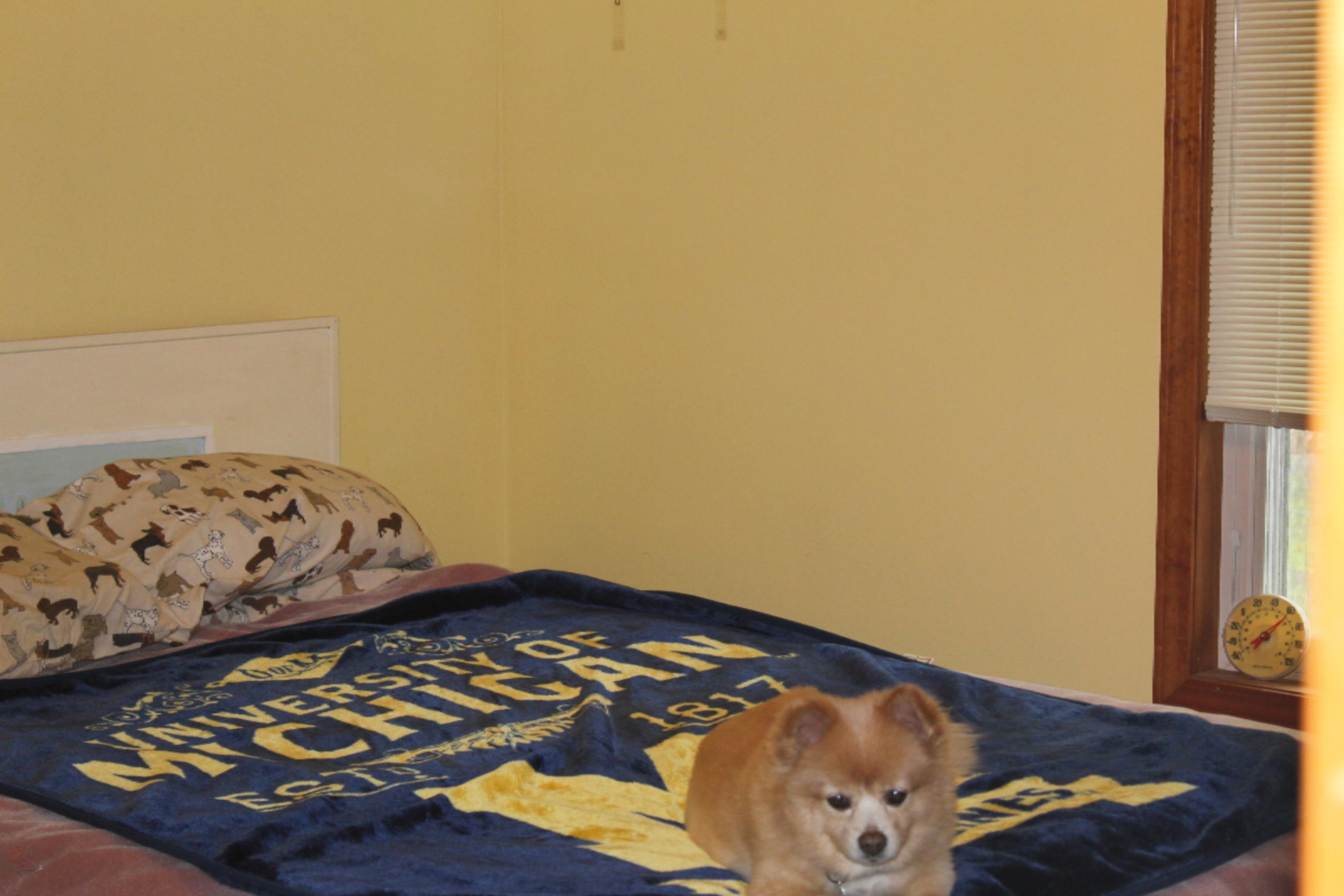 3973 Sweeter Road Twin Lake, MI 49457 - Photo 24 of 32 2nd bedroom