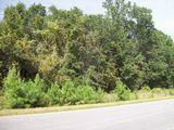 2-ac 2-ac Old Shellman & Dallas Bluff Road Townsend, GA 31331 - Photo 1 of 1 Gallery Image 1
