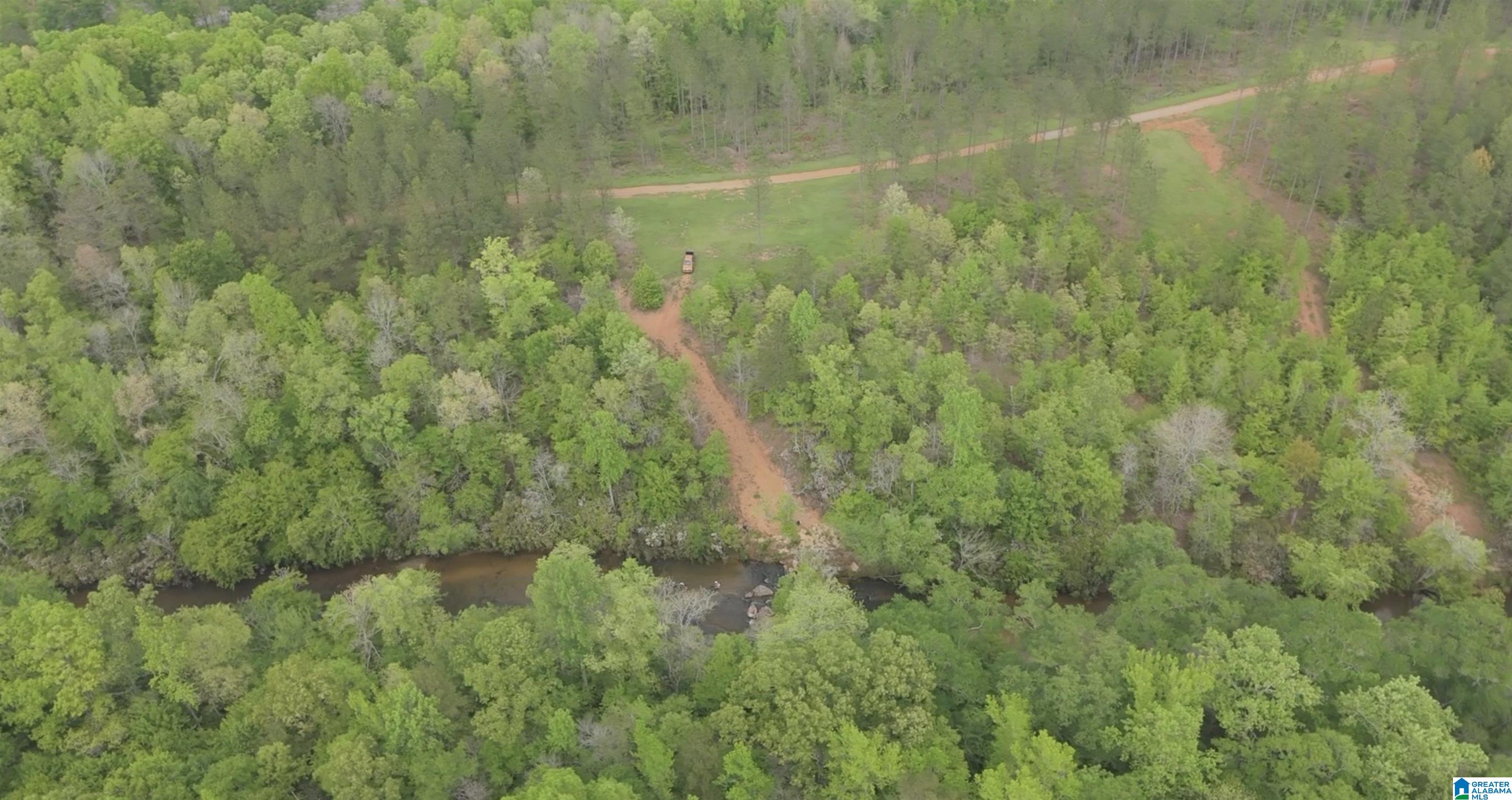 1051 Pate Road, Unit TRACT 5 AND 6 Cragford, AL 36255 - Photo 19 of 34