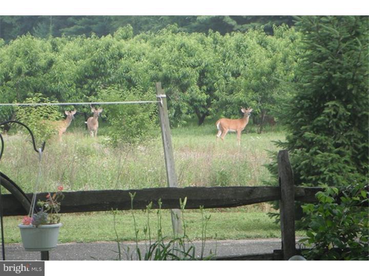 107 Lehigh Road North Glassboro, NJ 08028 - Photo 10 of 15 View in Back