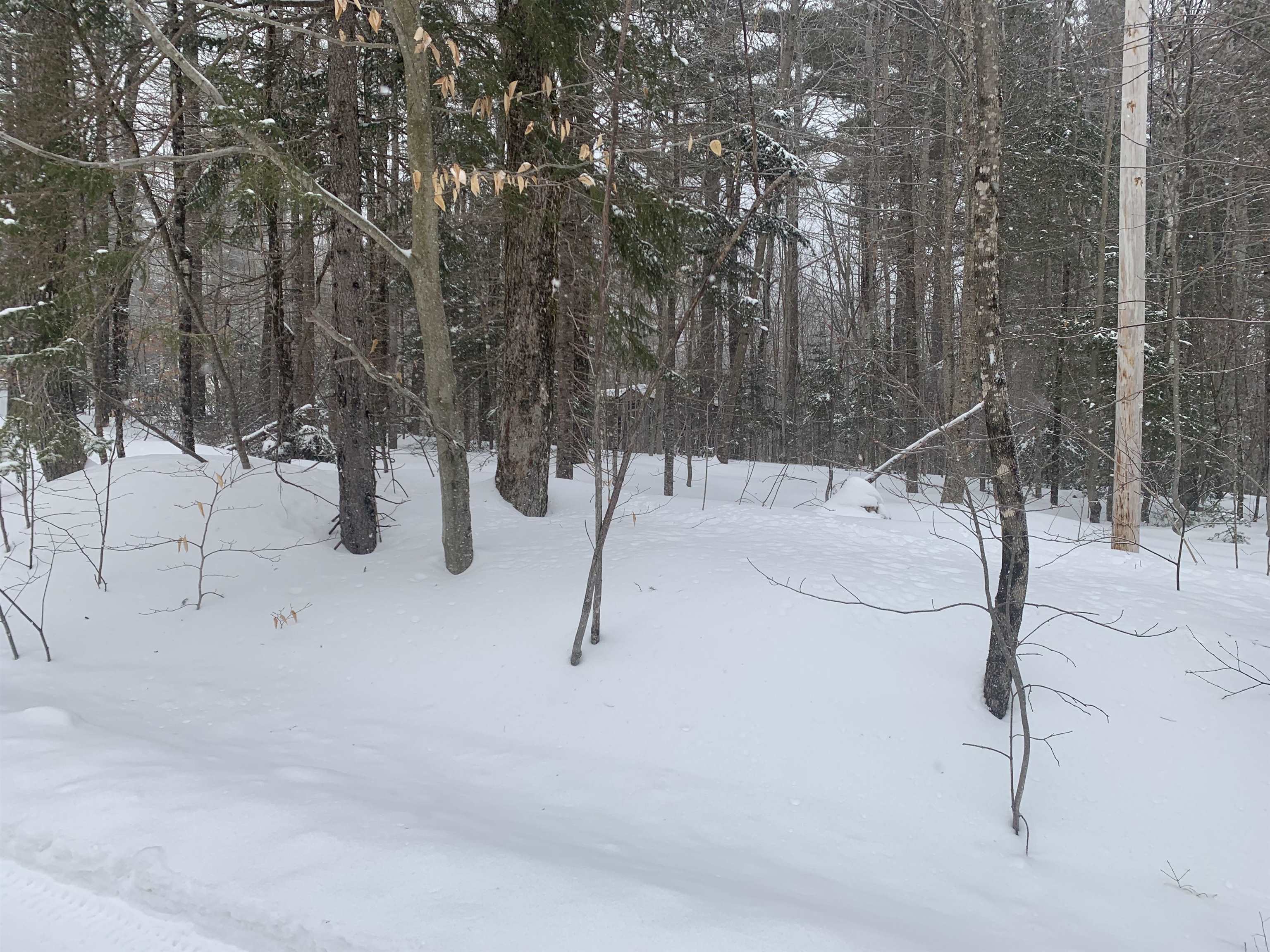 Mountain Road Grantham, NH 03753 - Photo 2 of 3