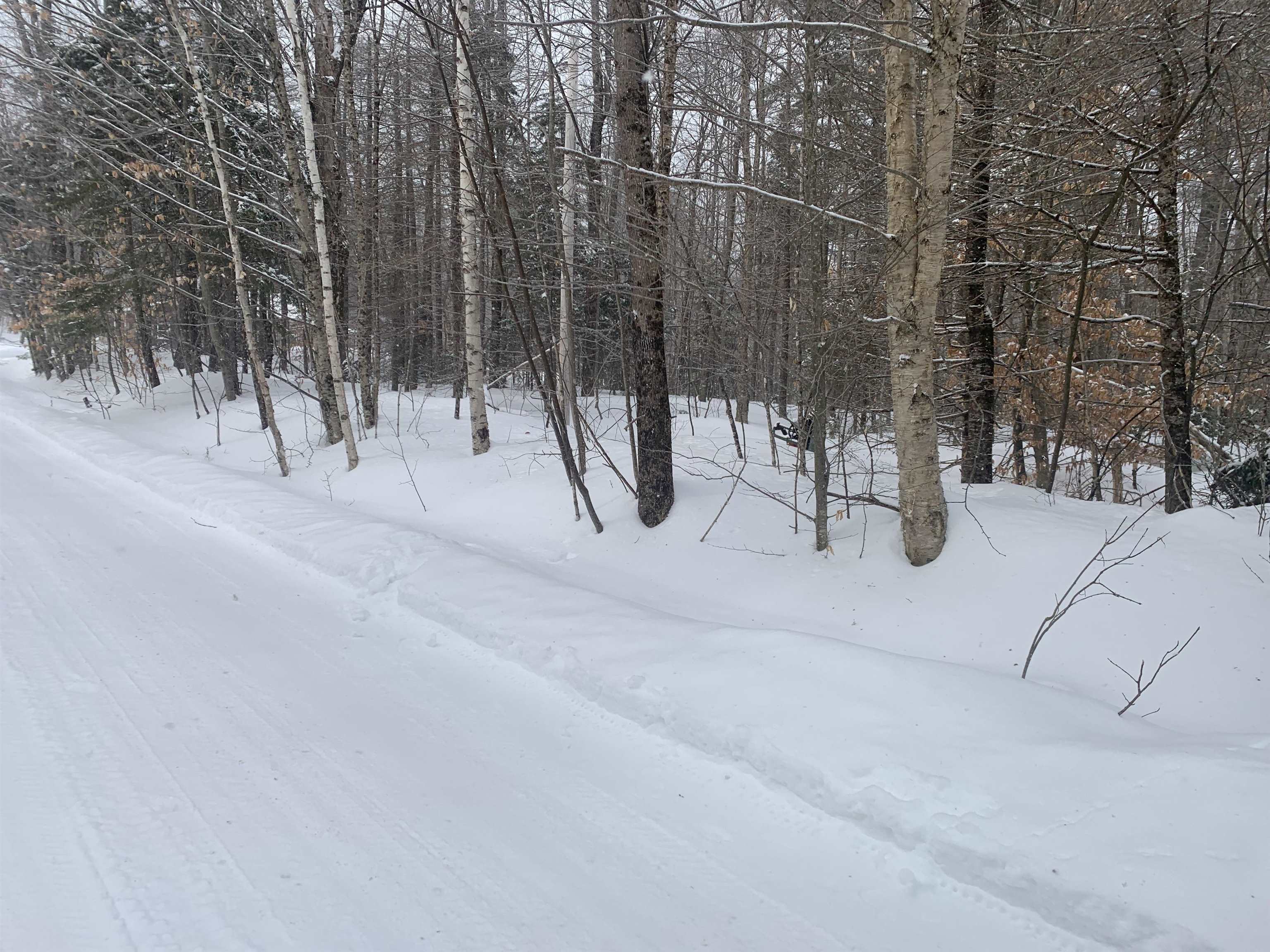 Mountain Road Grantham, NH 03753 - Photo 3 of 3