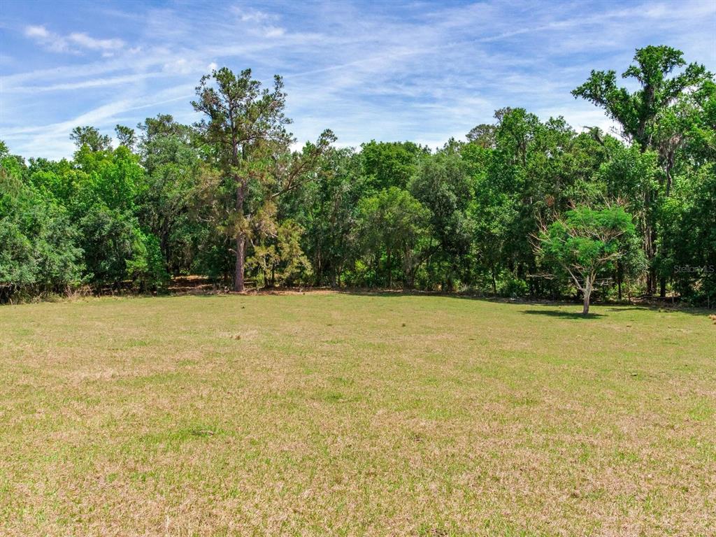 Spring Lake Highway Brooksville, FL 34602 - Photo 11 of 49 a view of yard with swimming pool and trees in the background
