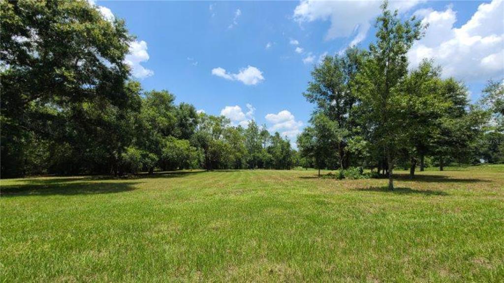 9630 Nelson Road Dade City, FL 33525 - Photo 11 of 18