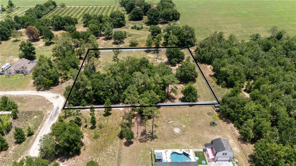9630 Nelson Road Dade City, FL 33525 - Photo 7 of 18