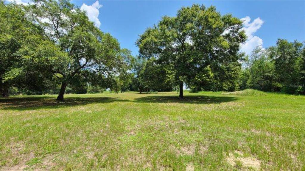 9630 Nelson Road Dade City, FL 33525 - Photo 8 of 18
