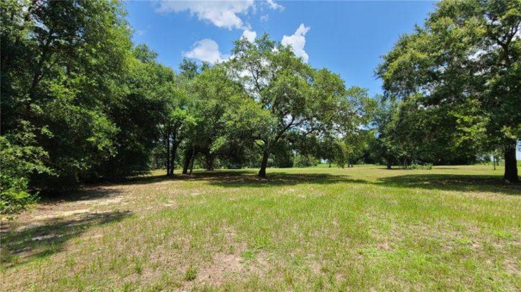 9630 Nelson Road Dade City, FL 33525 - Photo 9 of 18