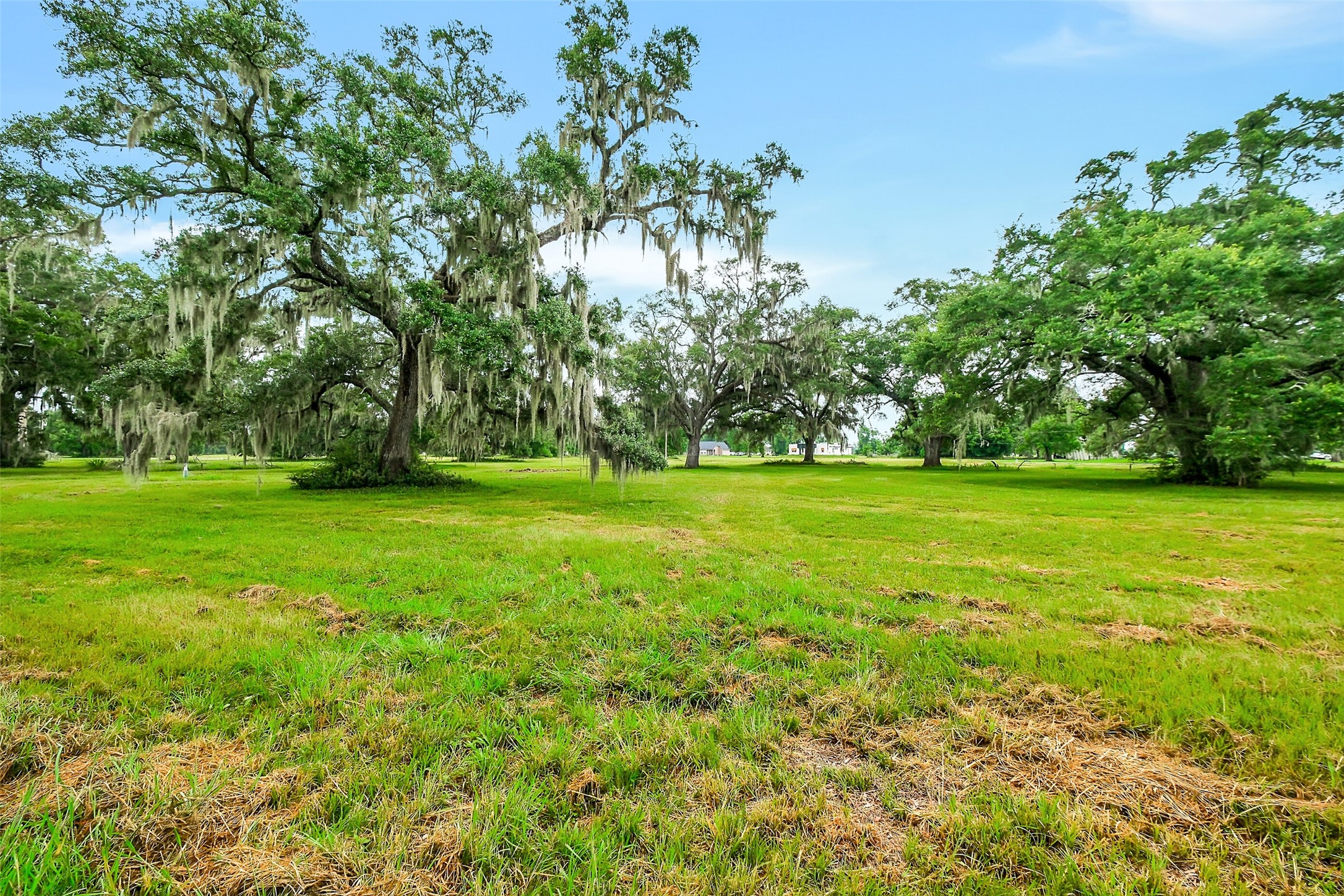 730-736 Rancho Chico Court Angleton, TX 77515 - Photo 3 of 9 Abundant wildlife in this protected community