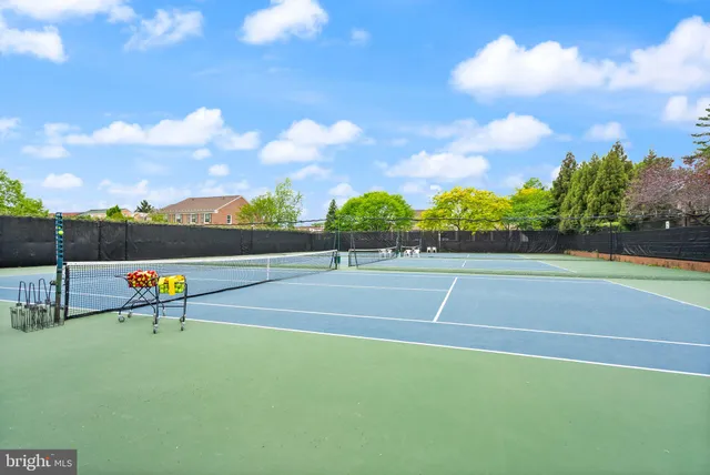 a park view with a bench
