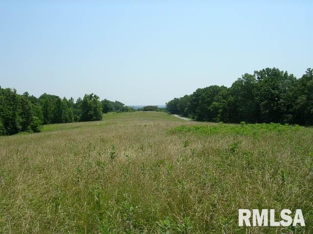 0 George Bluff Loop Belknap, IL 62908 - Photo 1 of 8