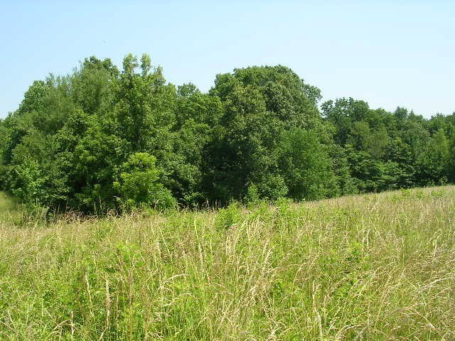0 George Bluff Loop Belknap, IL 62908 - Photo 2 of 8