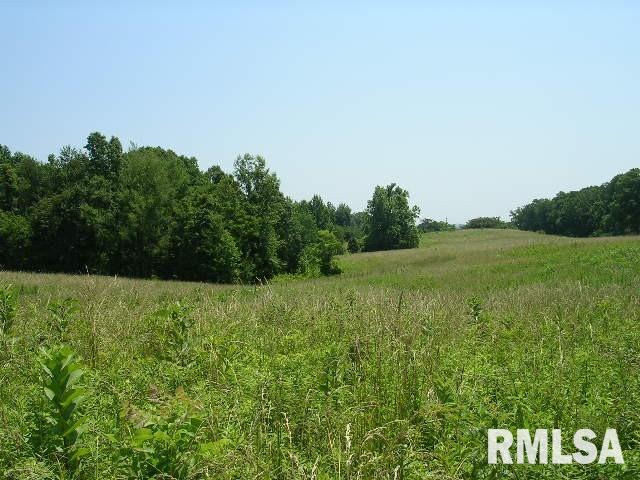 0 George Bluff Loop Belknap, IL 62908 - Photo 3 of 8