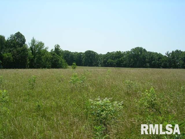 0 George Bluff Loop Belknap, IL 62908 - Photo 4 of 8