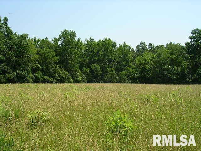 0 George Bluff Loop Belknap, IL 62908 - Photo 5 of 8