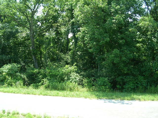 0 George Bluff Loop Belknap, IL 62908 - Photo 6 of 8