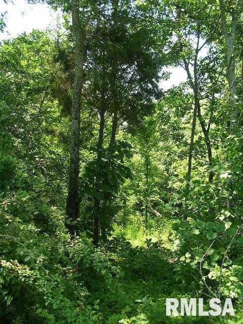 0 George Bluff Loop Belknap, IL 62908 - Photo 7 of 8