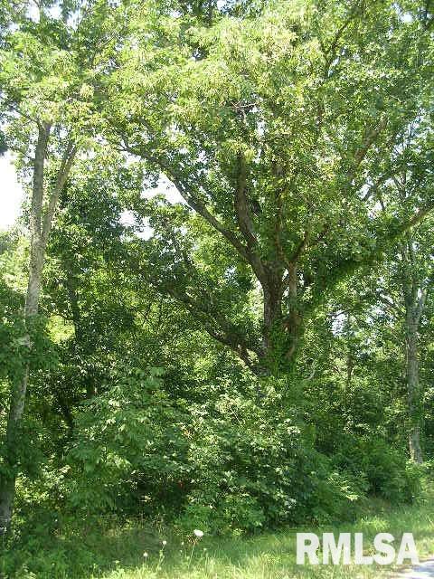 0 George Bluff Loop Belknap, IL 62908 - Photo 8 of 8