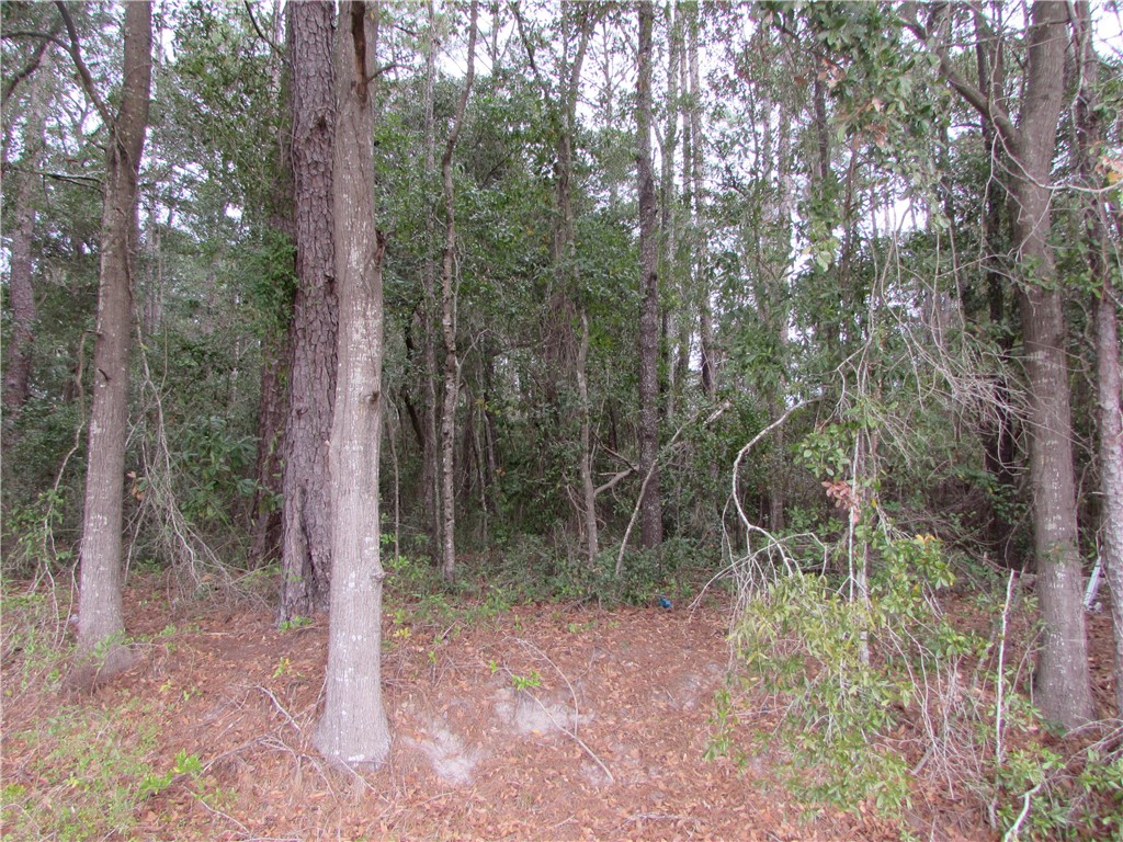 1016 Steve Street Waycross, GA 31501 - Photo 2 of 4