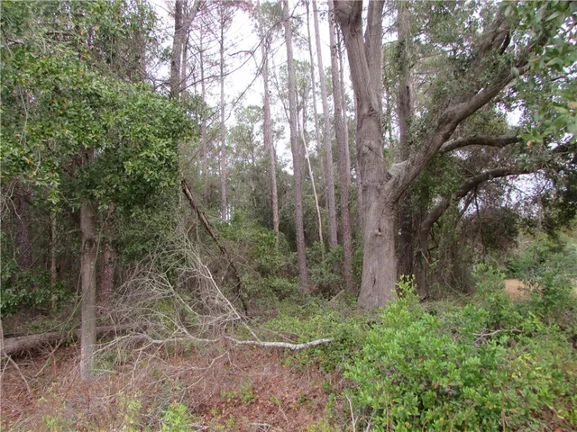 $50,000 | 1016 Steve Street, Waycross, GA 31501