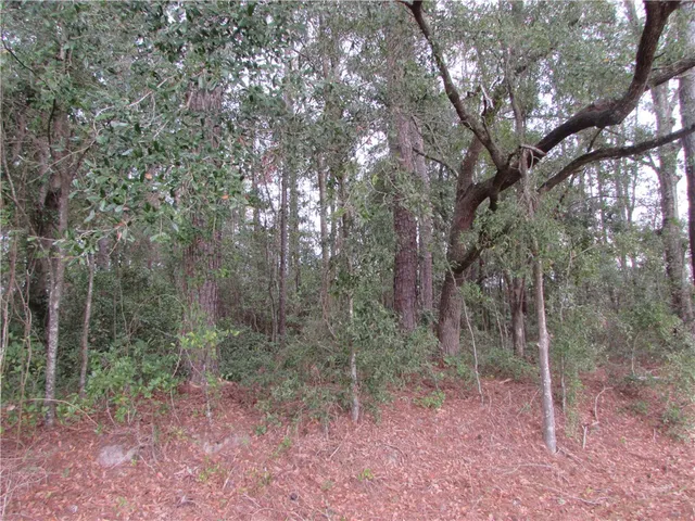 $50,000 | 1016 Steve Street, Waycross, GA 31501