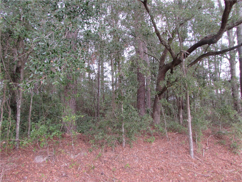 1016 Steve Street Waycross, GA 31501 - Photo 4 of 4