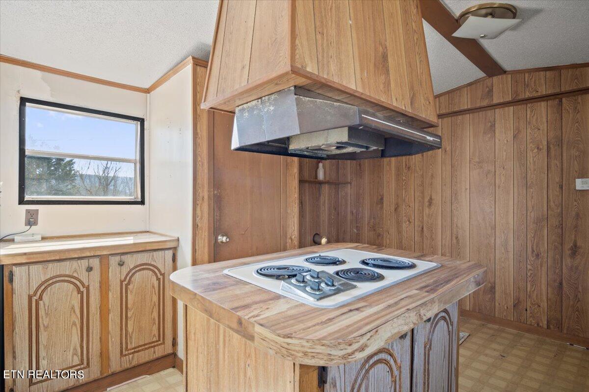 2906 New Blockhouse Road Maryville, TN 37803 - Photo 10 of 22 09-Kitchen