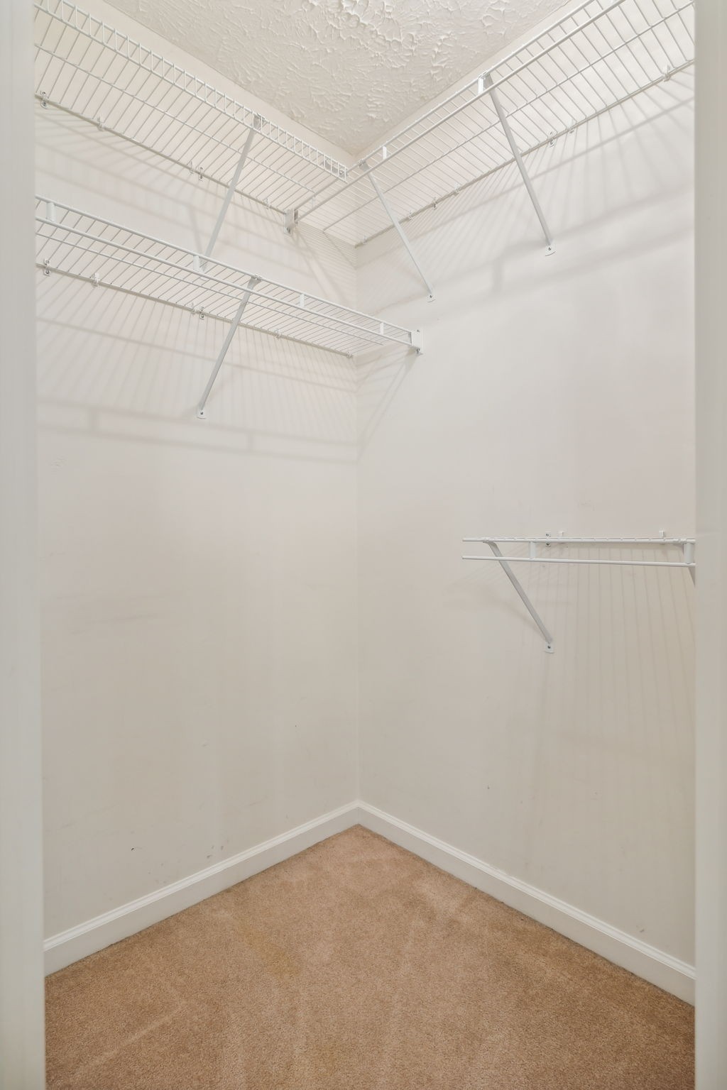 5449 Browns Mill Road Lascassas, TN 37085 - Photo 14 of 32 Gallery Image 14