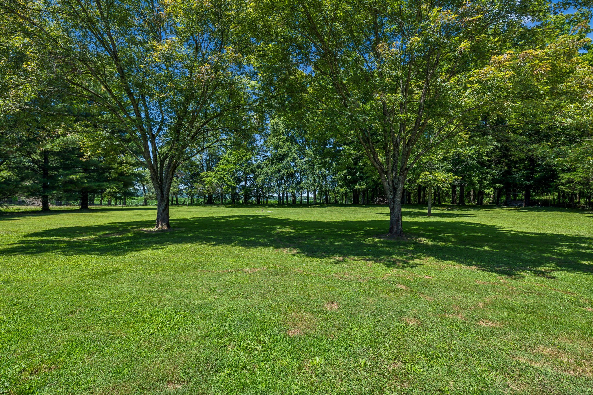 5449 Browns Mill Road Lascassas, TN 37085 - Photo 20 of 32 Gallery Image 20