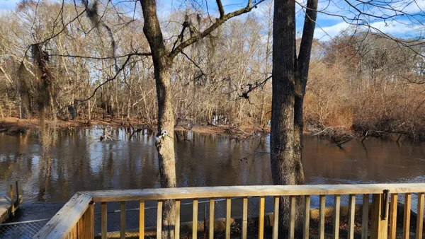 $3,000 | 93 Deepwater Trail, Round O, SC 29474