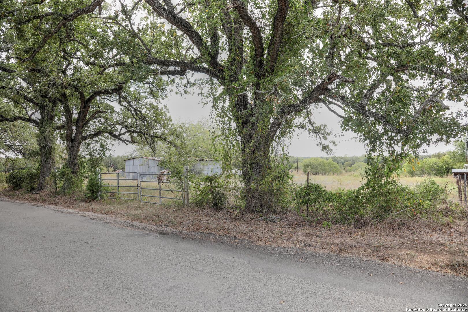 a view of a road with a trees