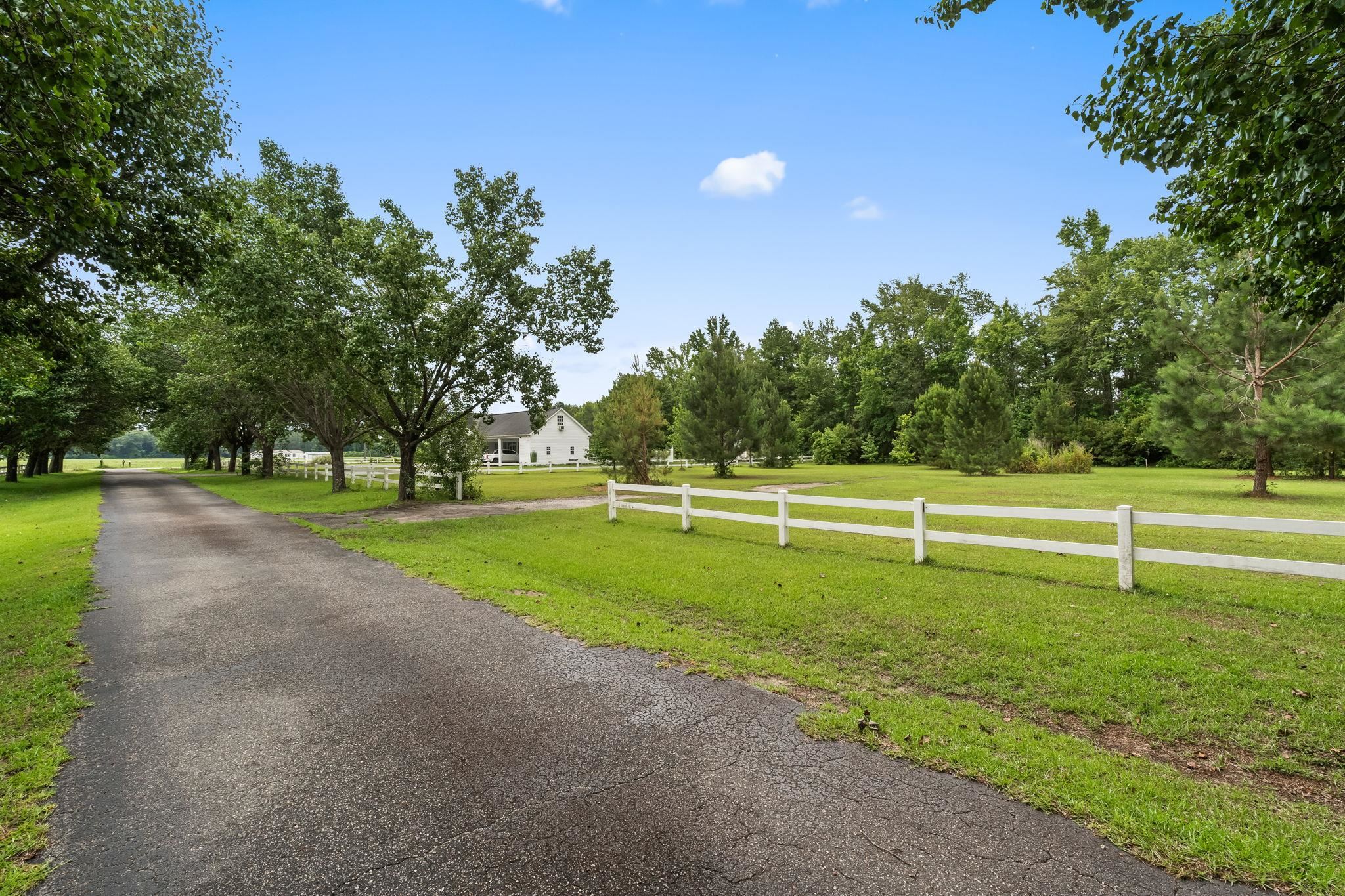 Tbd Hampton Road Conway, SC 29527 - Photo 9 of 50