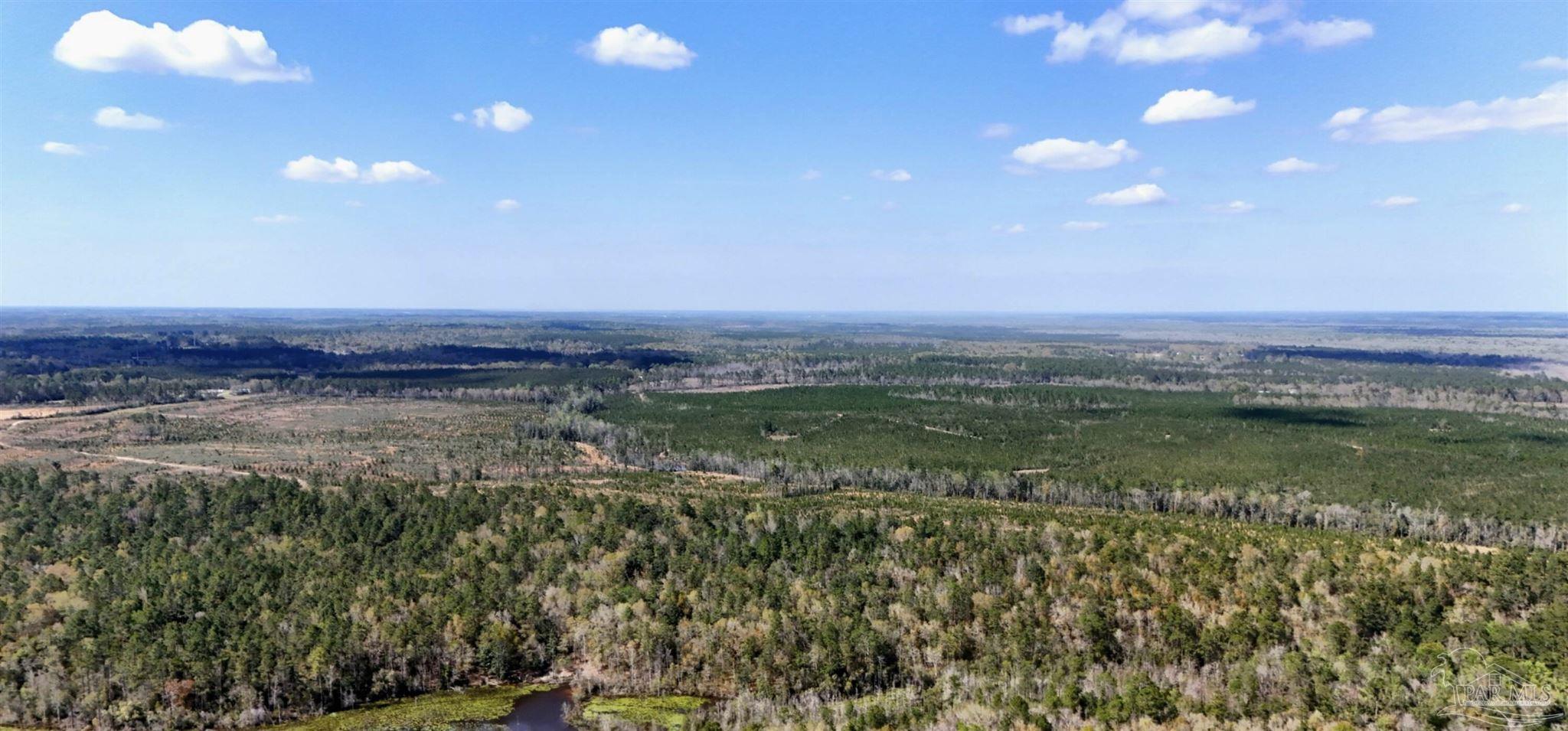 800 McKenzie Road Cantonment, FL 32533 - Photo 3 of 12