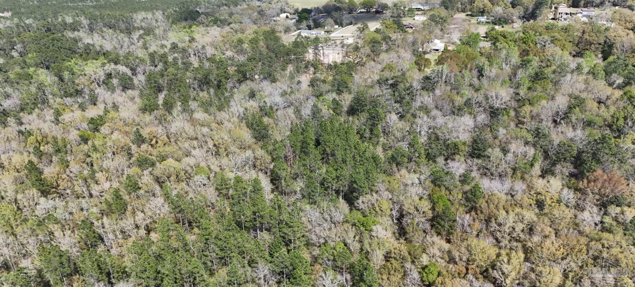 800 McKenzie Road Cantonment, FL 32533 - Photo 6 of 12