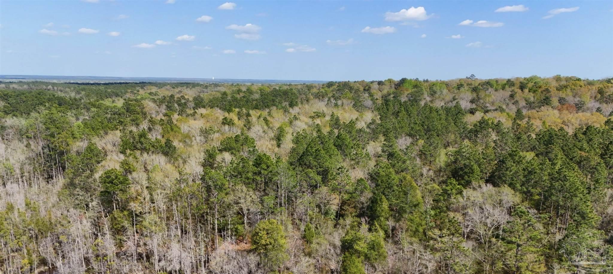 800 McKenzie Road Cantonment, FL 32533 - Photo 8 of 12