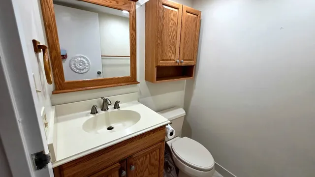a bathroom with a sink a toilet and a mirror