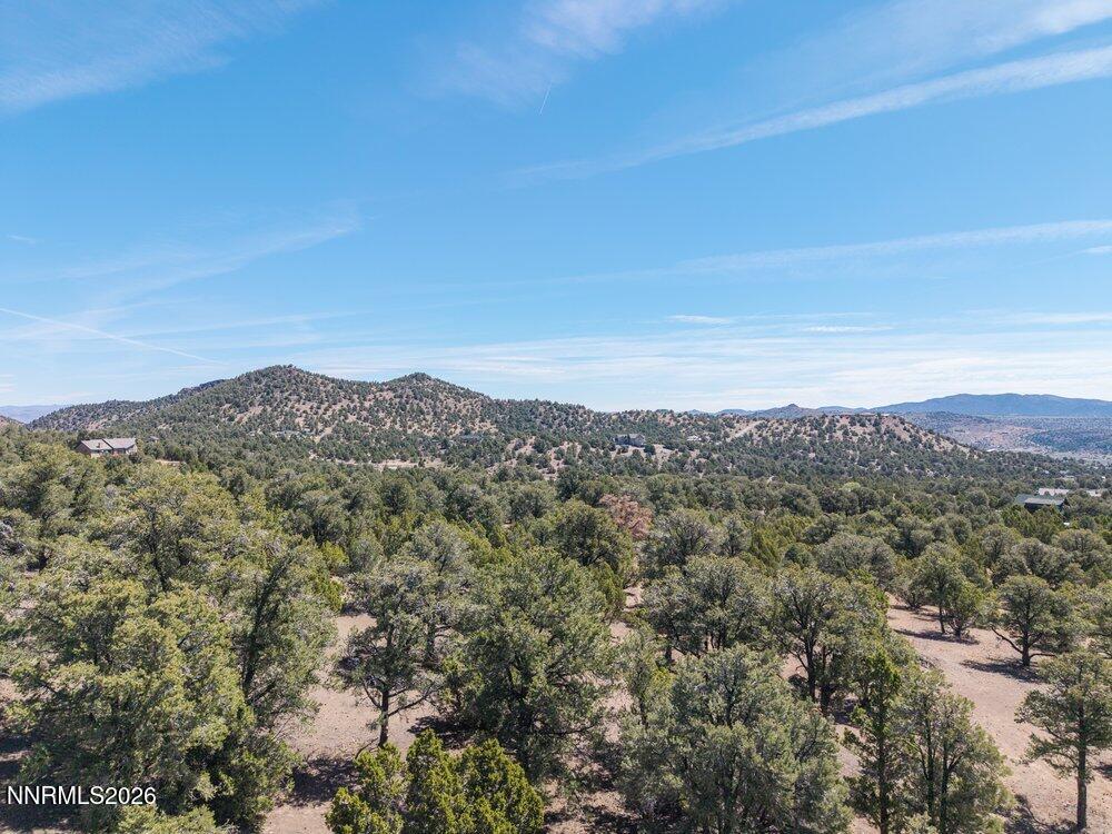 1790 Combination Road Reno, NV 89521 - Photo 38 of 46 view1