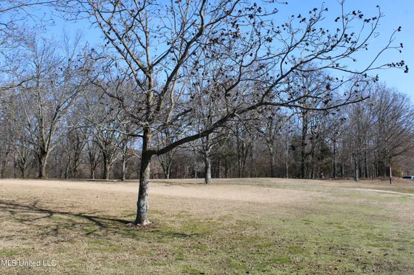 $1,450,000 | 8568 Goodman Road, Olive Branch, MS 38654