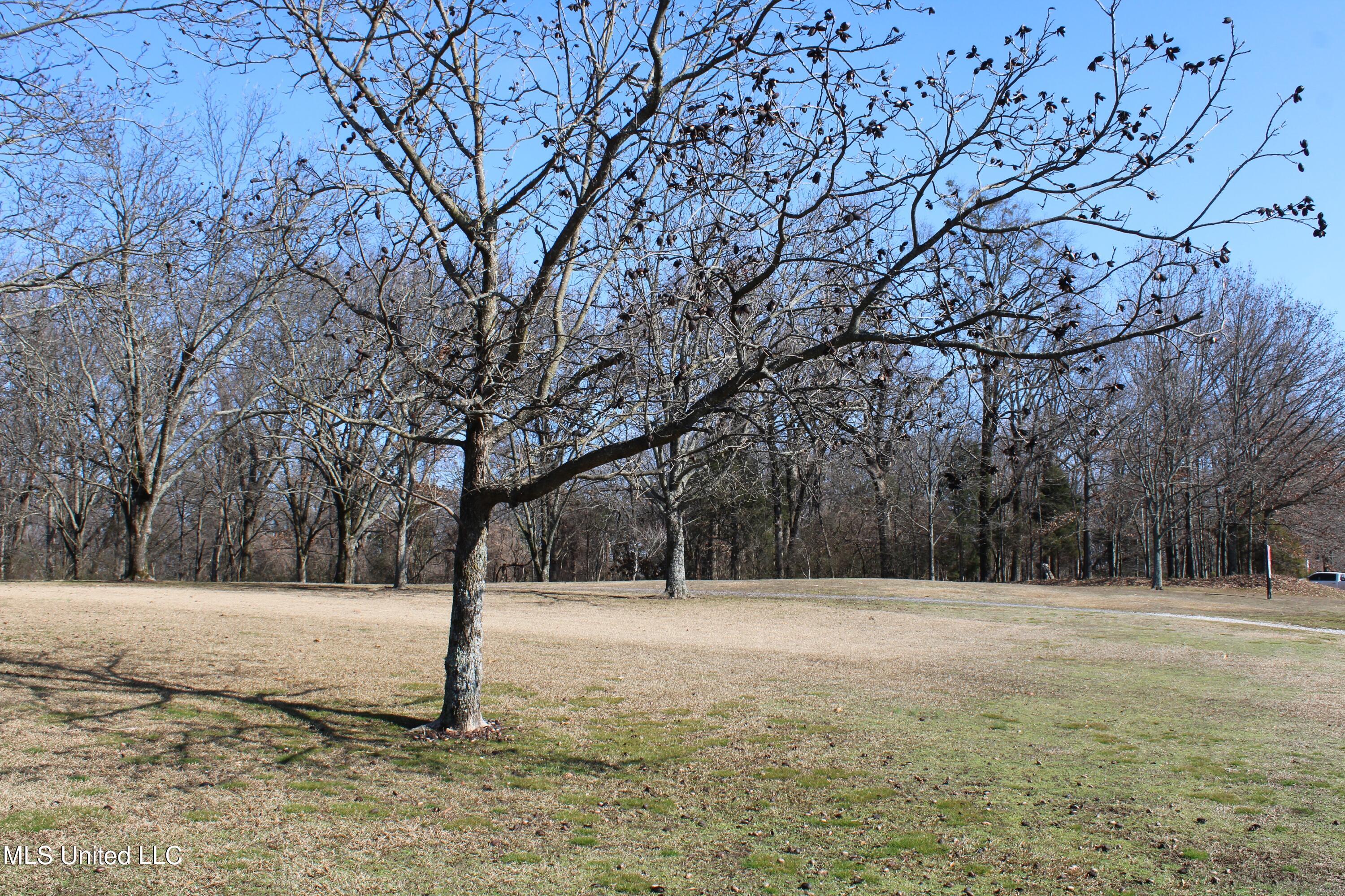 8568 Goodman Road Olive Branch, MS 38654 - Photo 11 of 11 IMG_3008