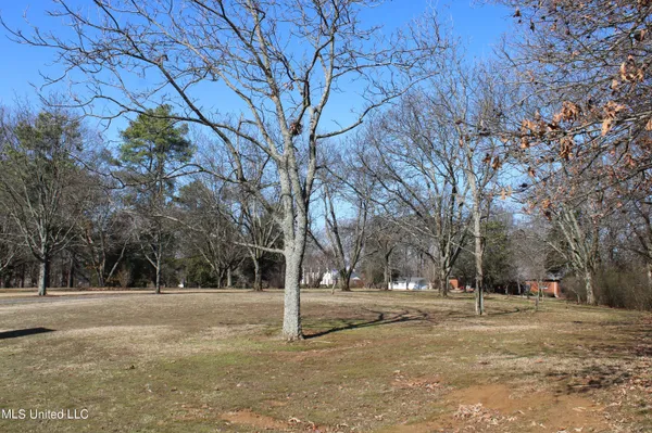 $1,450,000 | 8568 Goodman Road, Olive Branch, MS 38654